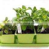 Kitchen Herb Planter Kit, Herb Growing Kit, Container Garden Kit thumbnail-1