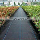 pp Woven Weed Control Black Plastic Mulch Ground Cover thumbnail-2