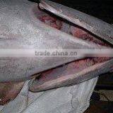 Frozen Yellowfin Tuna thumbnail-4