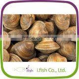 Cherry Stone thumbnail-1