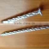 Spiral Roofing Finishing Nail from Guangzhou Supplier