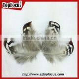 Hot Sale Dyed Wholesale Natural Cheap Artificial Pheasant Feathers Prices thumbnail-4