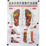 2014 Medical Health Acupoint Chart/ Human Meridian Acupuncture Points Chart/wall Chart 10 Page One Set thumbnail-3