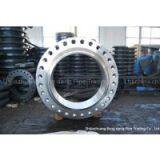 WN Flange Large Diameter