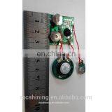 USB Sound/voice Recording Slide Tongue Module for Greeting Card