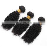 8A Virgin Hair Kinky Curly 100% Natural Original Brazilian Human Hair for Black Women thumbnail-2