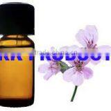 Geranium Oil Best Quality Natural & 100% Pure