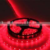 Cheap Led Strip Smd3528 60leds/m 4.8w 1 Year Wanrranty RED Supplier's Choice