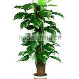 Artificial Flower Dieffenbachia