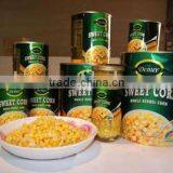 Canned Whole Kernel Sweet Corn DOMEE Brand Yellow Corn thumbnail-2