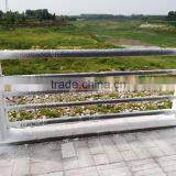 Stainless Steel Bridge Railing thumbnail-3