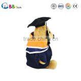 2015 Best Selling Cheap Price Stuffed Animals The Graduation Teddy Bear thumbnail-5