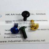 Torx Head Small Aluminum Color Screw