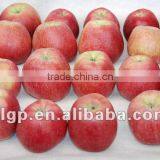 Red Star Apple thumbnail-1