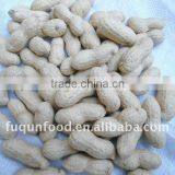 Shandong Raw Peanuts in Shell thumbnail-1