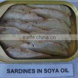 CANNED SARDINES IN OIL thumbnail-1