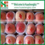 Fresh Fuji Apple Selling in China (Varieties: Fuji, Huaniu, Gala, Golden,qinguan, Red Star) thumbnail-5
