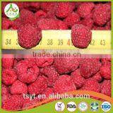 Frozen Berry Fruits/Frozen Raspberry thumbnail-5