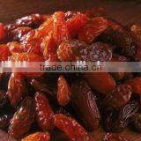 Xinjiang Raisins Sultana Raisins Golden Raisin thumbnail-2