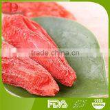 Manufacturer Wholesales Chinese High Quality Organic Goji Berries/wolfberry/medlar//wholesale Lycium thumbnail-2