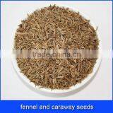 Fennel and Caraway Seeds