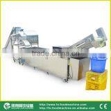 High Efficiency Potato Carrot Dicing and Washing Processing Line