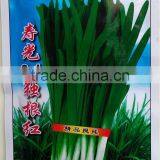 High Yield and Disease Resistant Red Root Chinese Chives Seeds thumbnail-2