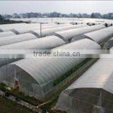 Greenhouse Tent thumbnail-3