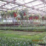 Customized Cheap Commercial Horticultural Green House thumbnail-6