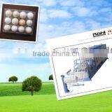 Egg Tray Forming Machine thumbnail-1