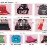 Pet Clothing thumbnail-1