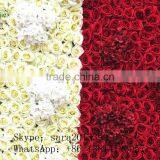 Artificial Flower Wall,wedding Decoration Wall,silk Rose Wall thumbnail-3