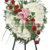 Floral Foam for Funeral & Florist Accessories & Resin Foam Products