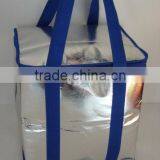 Promotional Cooler Bag thumbnail-1