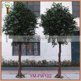 Real Trunk Artificial Ficus Tree for Export Sale