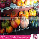 Wholesale Artificial Fruit For Decoration Tropical Fruits Artificial Fake Plastic Fruit thumbnail-1