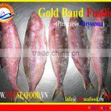 FROZEN W/R GOLD BAND FUSILIER thumbnail-1