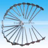 Galvanized Umbrella Head Roofing Nails In Guangzhou Factory thumbnail-1