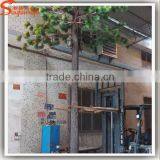 New Products by Shipping Artificial Pine Tree Branches Pine Tree Japanese Tree thumbnail-2