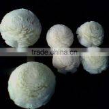 GUTI KDAM Hand Made Sola Flower thumbnail-1