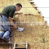 Natural Roof Reed thumbnail-6