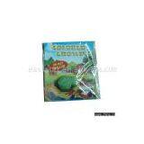 Vegetable Shape Growing Toy thumbnail-1