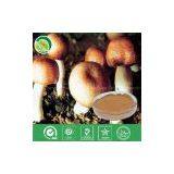 Agaricus Blazei Murill Powder