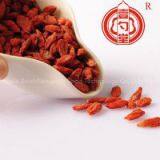 Goji FruitNingxia Dried Goji Berry Dried Goji Berries thumbnail-3