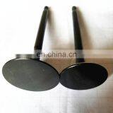 For BYD F3 Mitsubishi Engine V3 4G15M 4G18 Intake Valve And Exhaust Valve China Auto Spare Parts 476Q-10070016 476Q-10070023 thumbnail-5