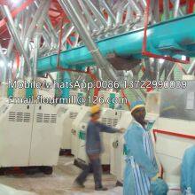 Maize Flour Mill, Roller Mill, Wheat Flour Milling Equipment thumbnail-1