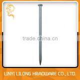 Made In China Galvanized Concrete Nails/Steel Nails thumbnail-3