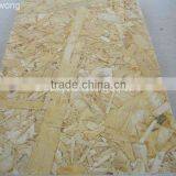 Construction Glue Osb thumbnail-1