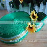 Factory Wholesale Colored Polypropylene Webbing