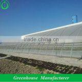 hot sale solar greenhouse